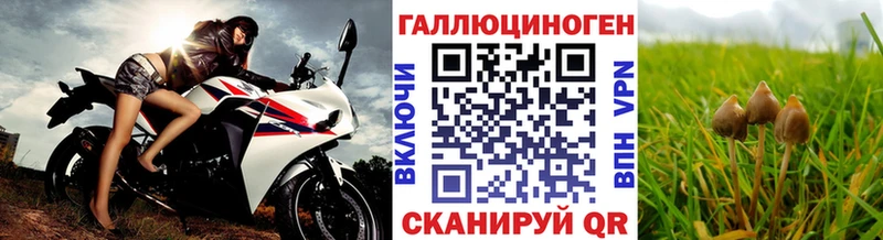 Купить закладки Заозёрск Галлюциногенные грибы Psilocybine cubensis
