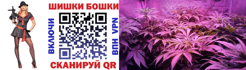 Бошки марихуана Ganja  Купить где  Заозёрск 